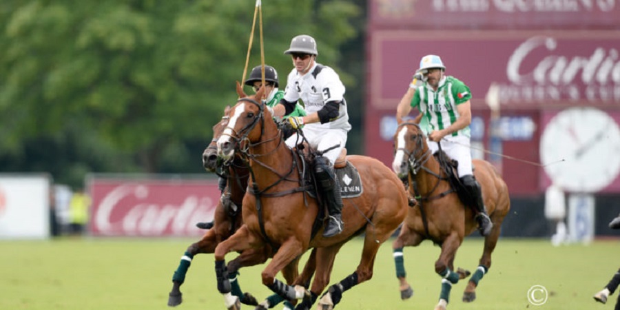 Polo players skillfully competing in a dynamic match, showcasing their athleticism and teamwork on the field.