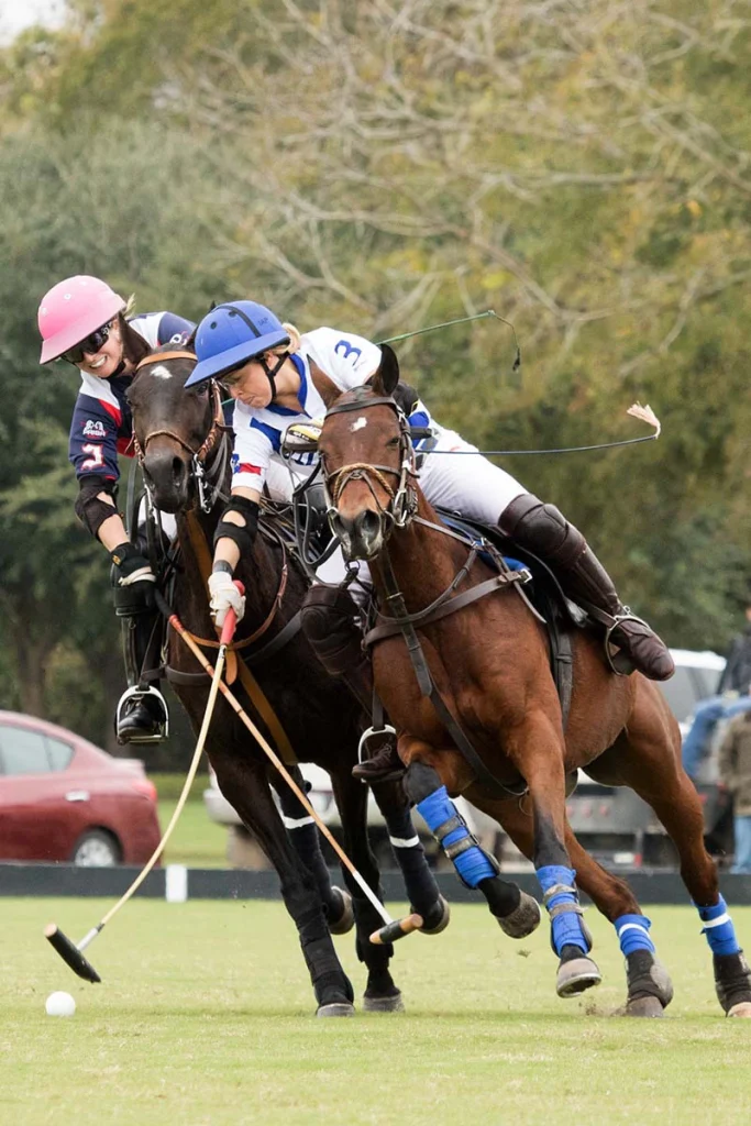 Two players competing in a polo game, showcasing their skills on horseback in a vibrant field setting.