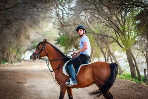 A woman confidently rides a horse along a scenic dirt path surrounded by greenery.