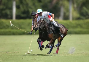 Two polo players compete in an intense match, showcasing their skills on horseback in a vibrant outdoor setting.