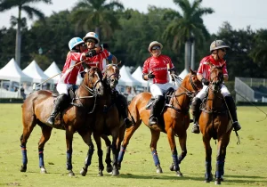 A diverse group of riders on horses traversing a scenic field surrounded by nature.