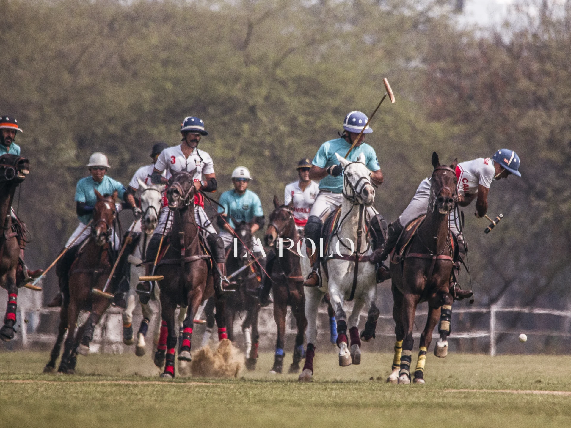 A dynamic polo match with players on horseback, swinging mallets as they chase a ball across a grassy field.