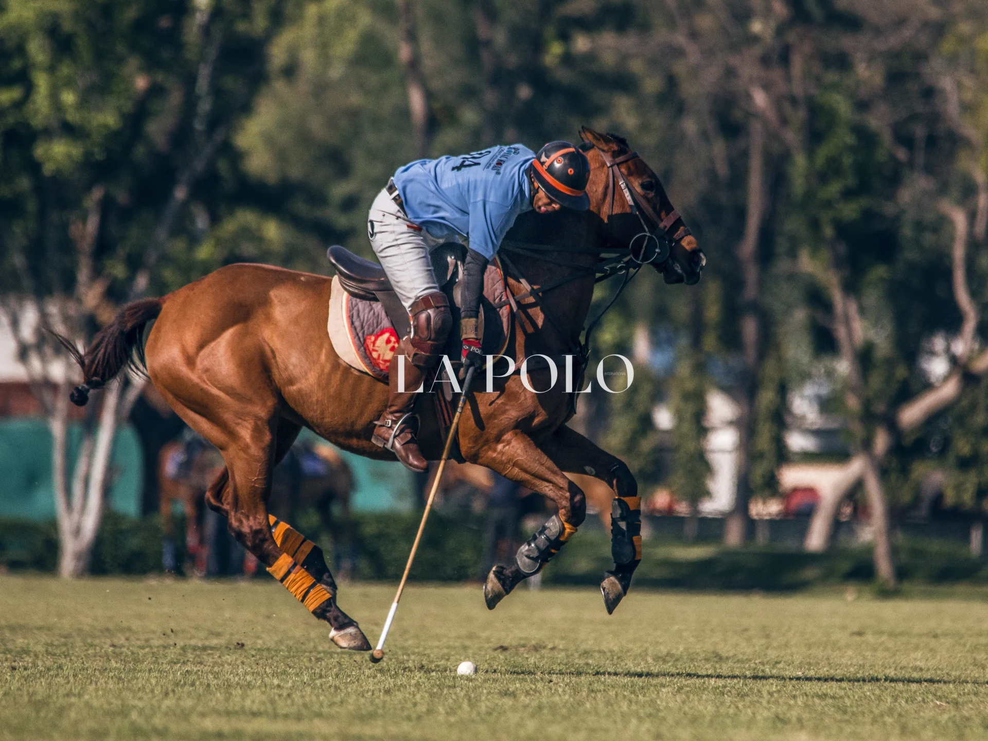 A polo player in a blue shirt rides a brown horse, aiming with a mallet on a grassy field under clear skies.