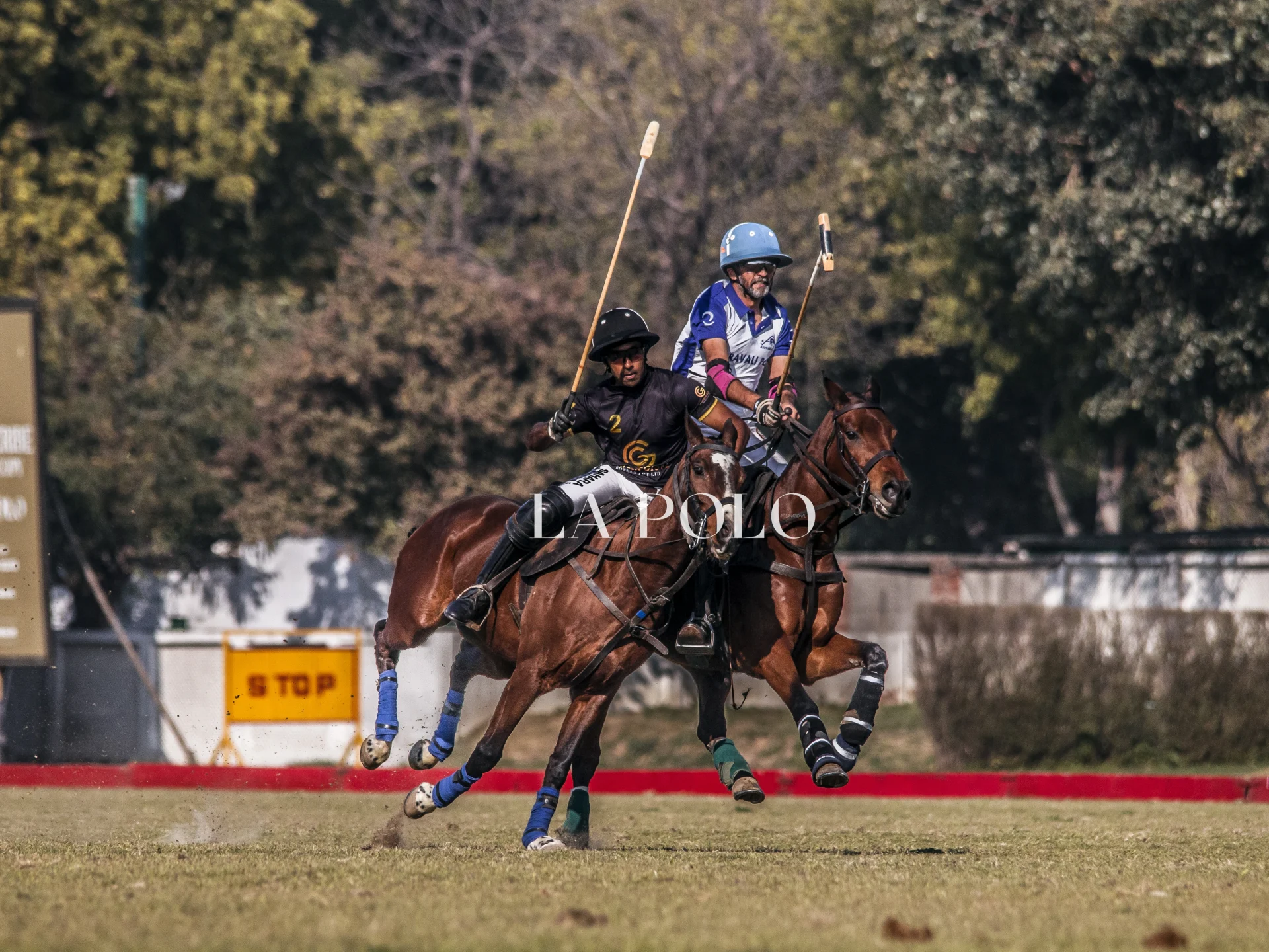 Two polo players on horseback compete in a match, striking the ball, surrounded by a green field and trees.