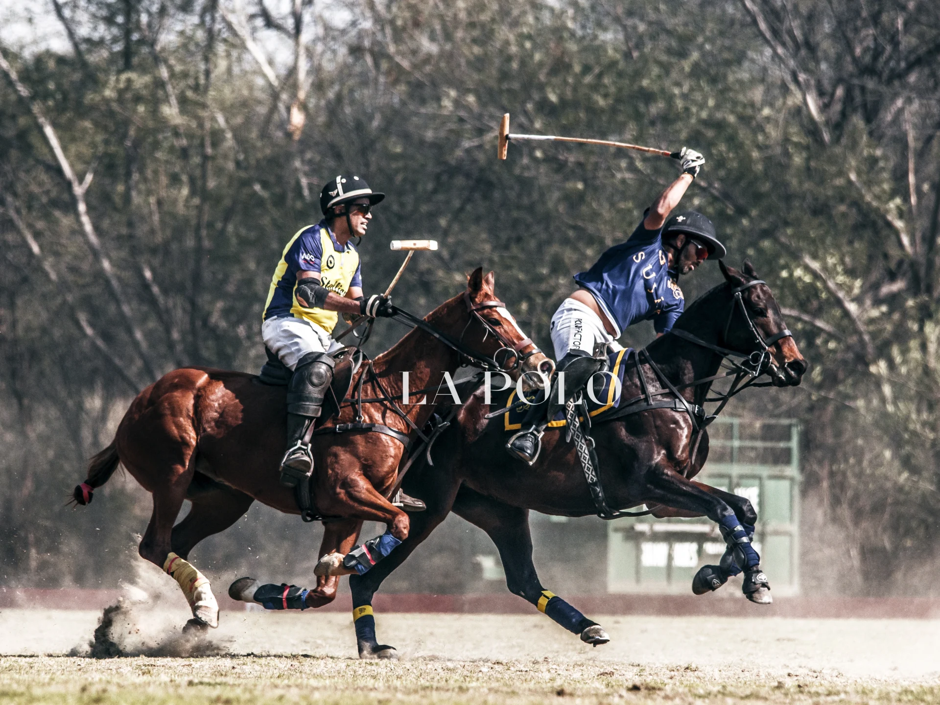 A dynamic polo match with players on horseback, showcasing teamwork and skill, set against a city backdrop.