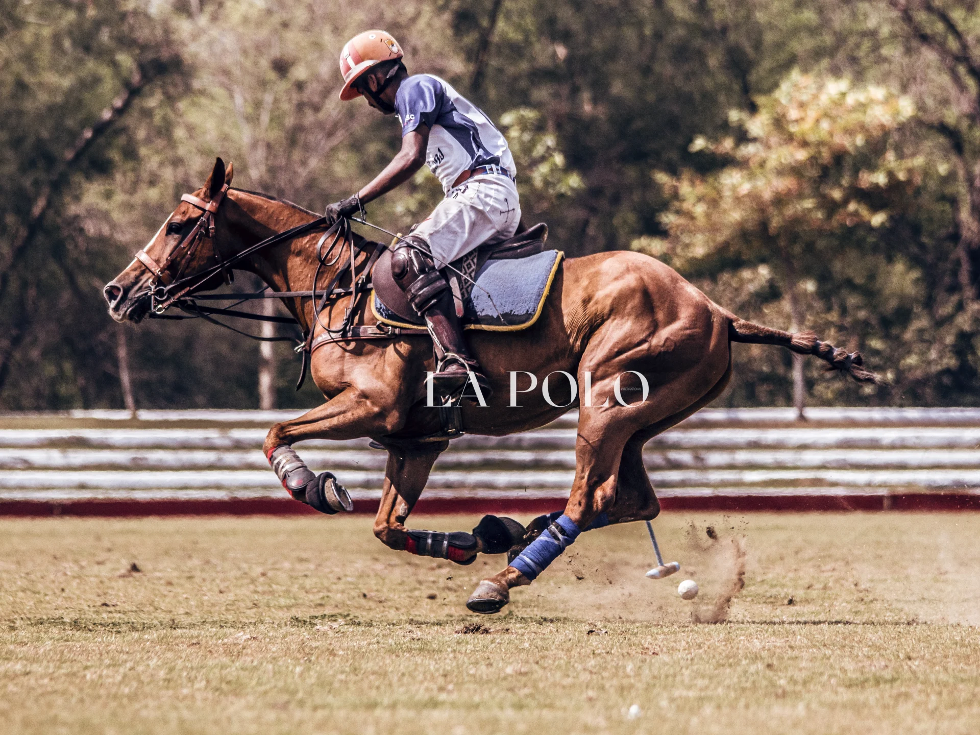 A polo player in a blue jersey rides a galloping brown horse, striking a ball on a lush grassy field.