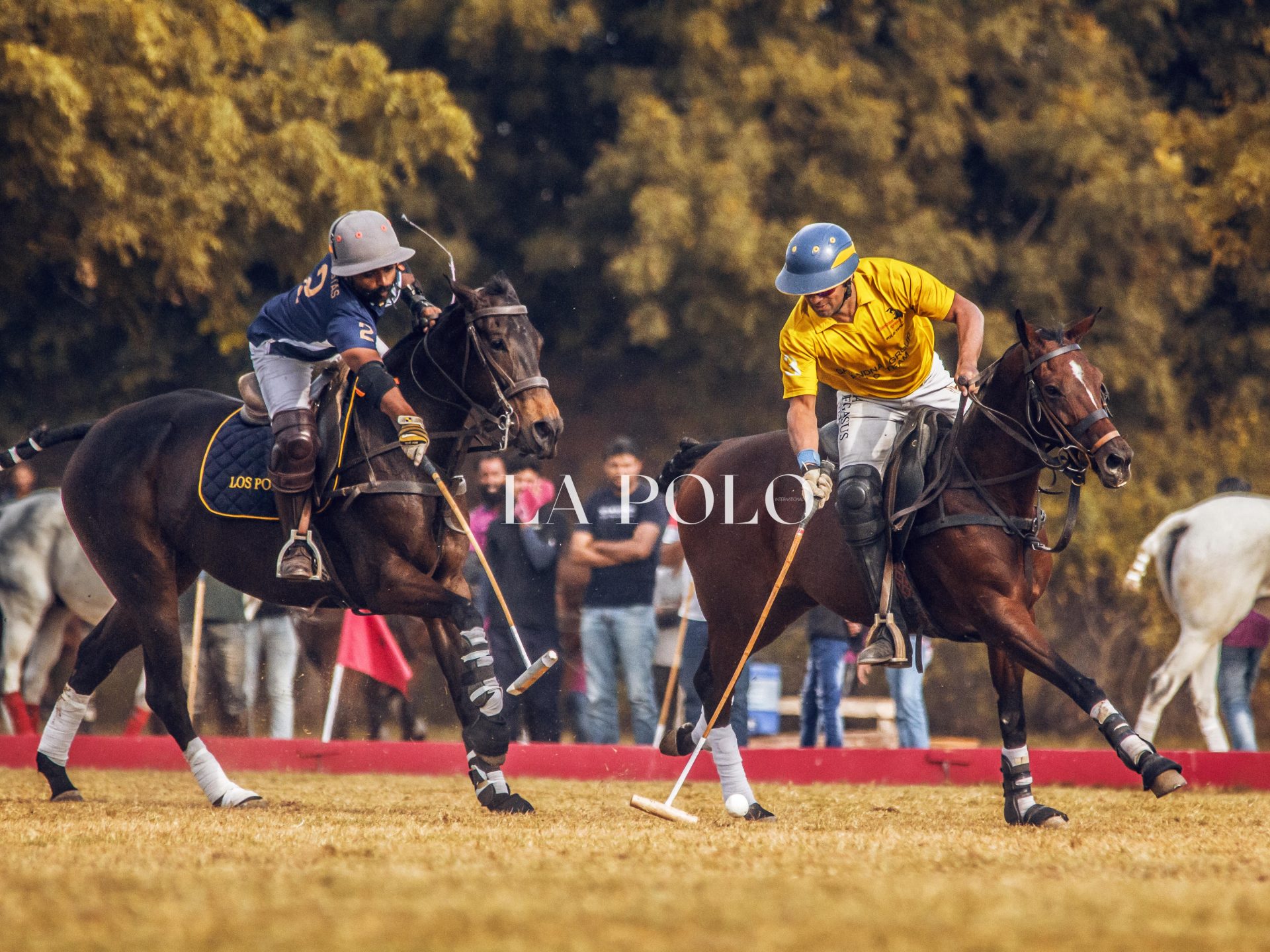 Two polo players skillfully competing on the field, showcasing their athleticism and teamwork during a match.