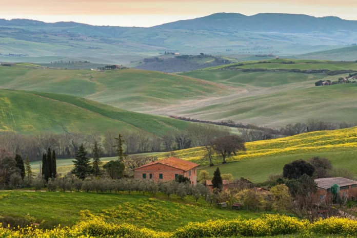 A stunning view of a lush field, bathed in sunlight, offering a tranquil and inviting atmosphere